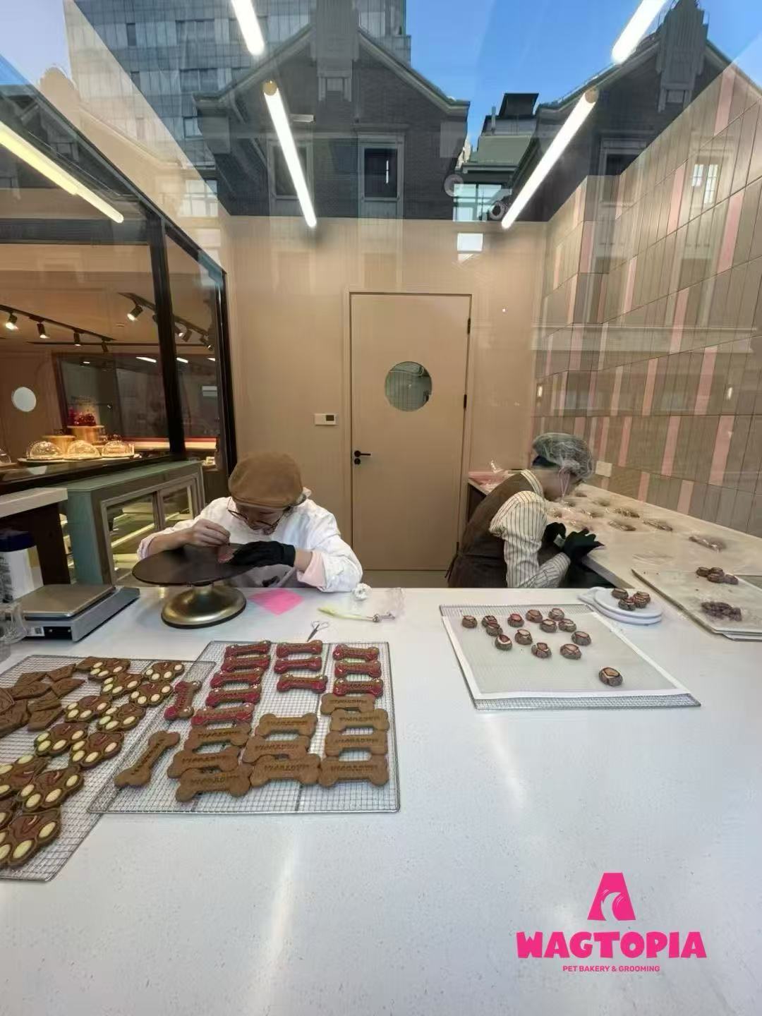 179308850182322 微信图片_2026-06-17_112425_362